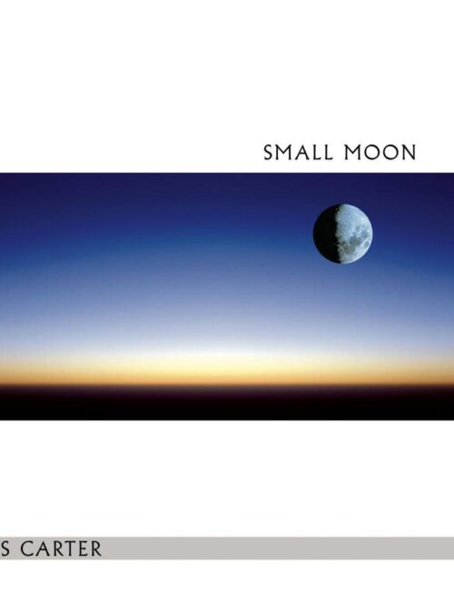 CHRIS CARTER - SMALL MOON Vinyl Record