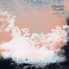 ADMIRAL FALLOW - THE IDEA OF YOU Vinyl Record