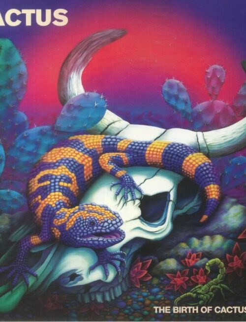CACTUS - BIRTH OF CACTUS - 1970 THE Vinyl Record