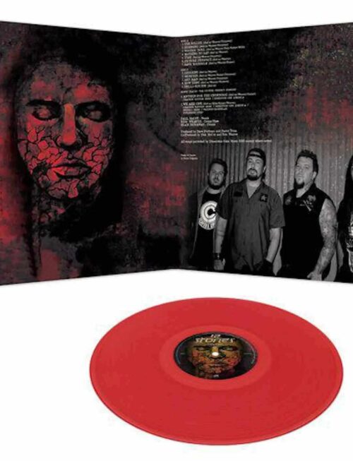 12 STONES - PICTURE PERFECT Vinyl Record