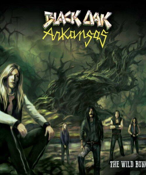 BLACK OAK ARKANSAS - WILD BUNCH THE Vinyl Record