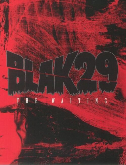 BLAK29 - WAITING THE Vinyl Record