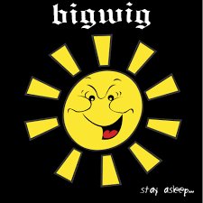 BIGWIG - Stay Asleep Vinyl Record