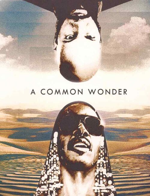 CMMON - Vs Stevie Vinyl Record