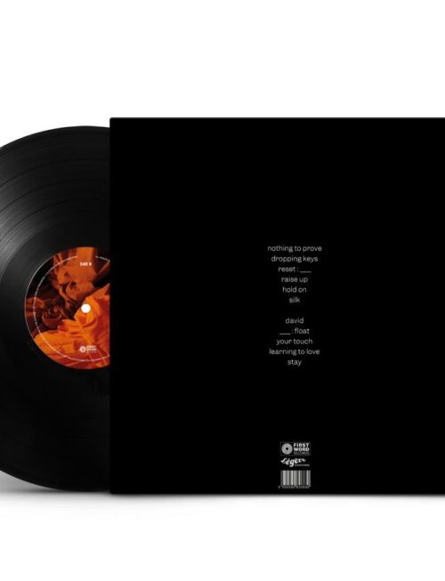 Allysha Joy - They're Energised Vinyl Record