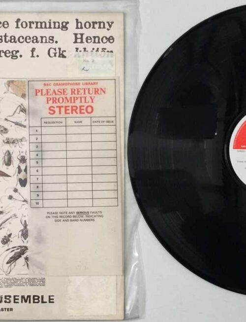 CHITINOUS ENSEMBLE - Chitinous Vinyl Record