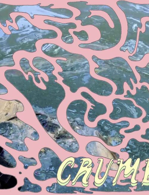 CRUMB - CRUMB / LOCKET Vinyl Record