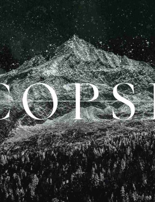 COPSE - MMXXIV Vinyl Record