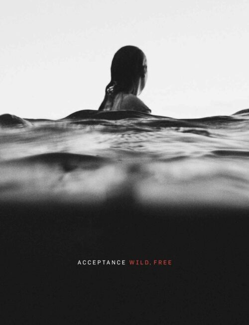 ACCEPTANCE - WILD FREE Vinyl Record