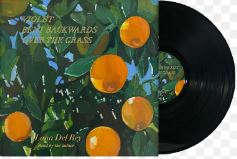 Lana Del Rey-Violet Bent Backwards Over The Grass Vinyl