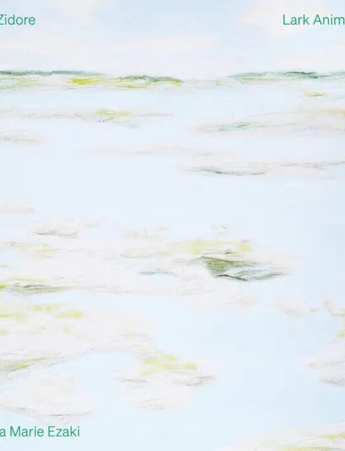 BETTINA MARIE EZAKI - ZIDORE - LARK ANIMATIONS Vinyl Record