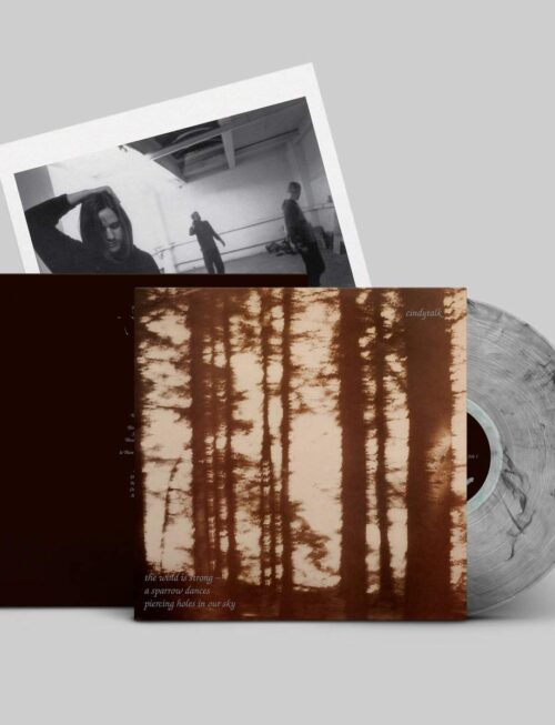 CINDYTALK - The Wind Is Strong... (Marble Smoke Vinyl) Vinyl Record