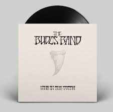 BUDOS BAND THE - LONG IN THE TOOTH Vinyl Record