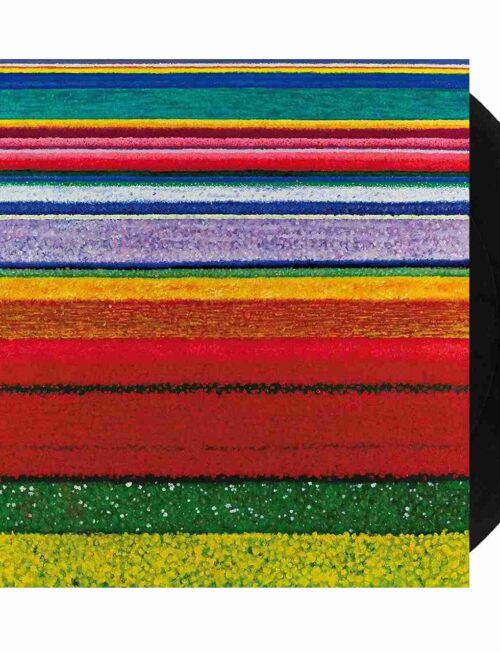 CITY AND COLOUR - LITTLE HELL Vinyl Record