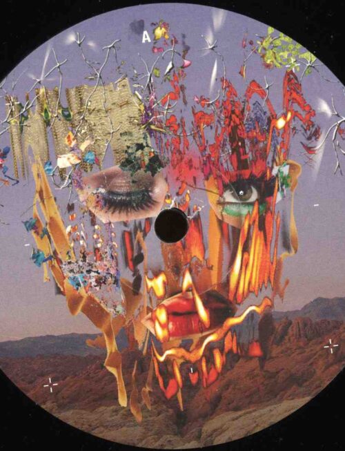 ADAM BEYER - DESERT QUEEN Vinyl Record