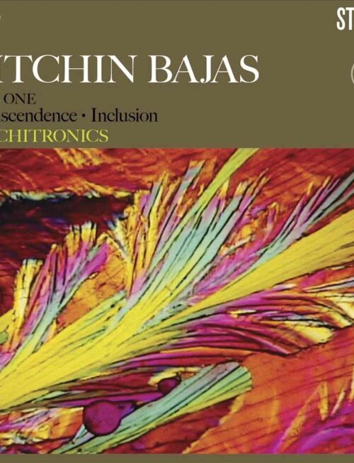 BITCHIN BAJAS - BITCHITRONICS Vinyl Record