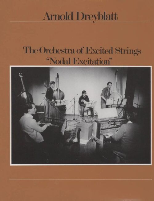 ARNOLD DREYBLATT - NODAL EXCITATION Vinyl Record