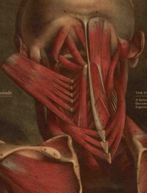 BORUSIADE - THE FALL: A SERIES OF DOCUMENTED EXPERIENCES Vinyl Record