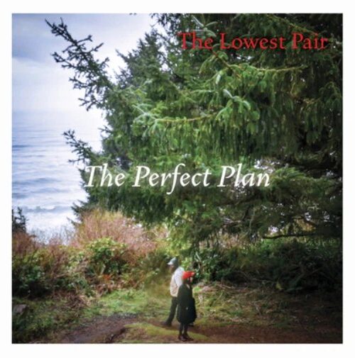 LOWEST PAIR - PERFECT PLANTHE Vinyl Record