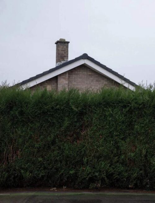 1975 - Still... At Their Very Best-Live(3LP/WHITE/INDIE EX) Vinyl Record