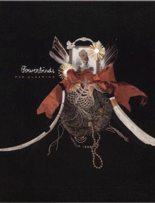 BOWERBIRDS - THE CLEARING Vinyl Record