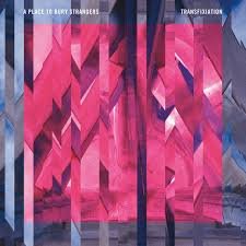 A Place To Bury Strangers - TRANSFIXIATION Vinyl Record