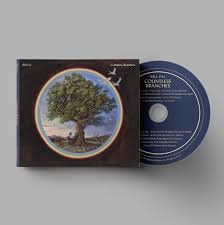 BILL FAY - COUNTLESS BRANCHES Vinyl Record