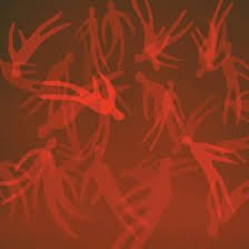 BRIGHT EYES - PERSONA NON GRATA B/W FLIRTED WITH YOU ALL MY Vinyl Record