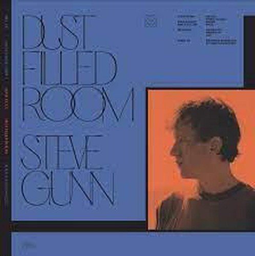 BILL FAY & STEVE GUNN - DUST FILLED ROOM Vinyl Record