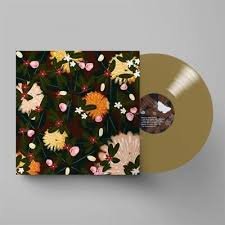 BRIGHT EYES - NOISE FLOOR (RARITIES: 1998-2005) Vinyl Record