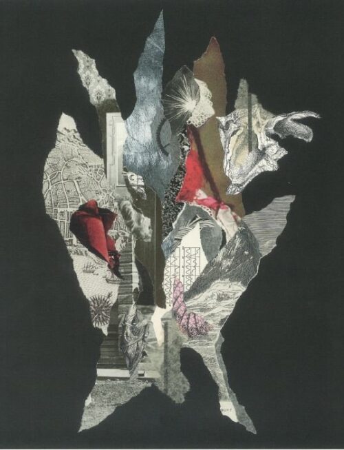 ALAS DE LIONA - GRAVITY OF GOLD Vinyl Record