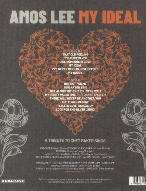 AMOS LEE - MY IDEAL Vinyl Record