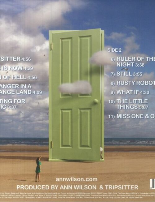 ANN WILSON & TRIPSITTER - ANOTHER DOOR Vinyl Record