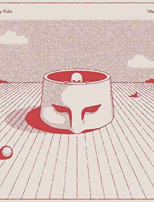 CENTURY PALM - Meet You Vinyl Record