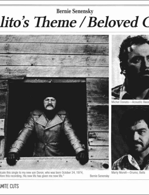 Bernie Senensky - Lolita's Theme Vinyl Record