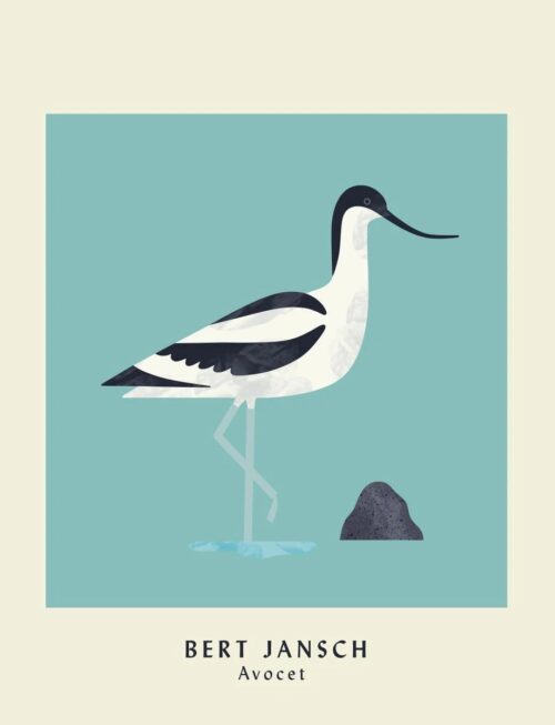 BERT JANSCH - AVOCET Vinyl Record