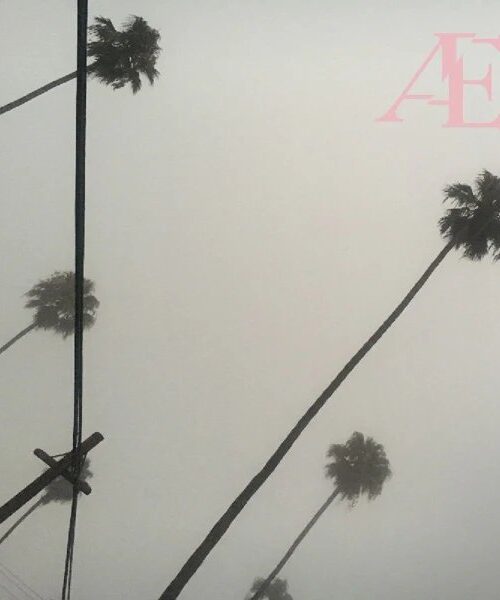 ANTON EGER - AE Vinyl Record