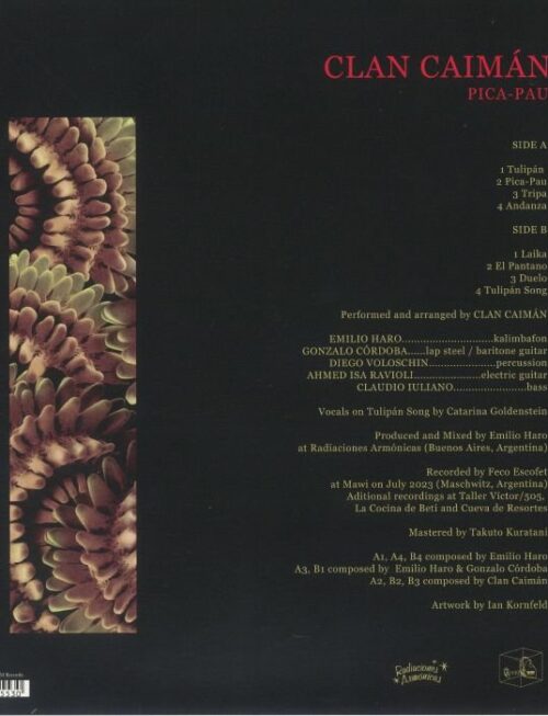 Clan Caim?°n - Pica Pau Vinyl Record