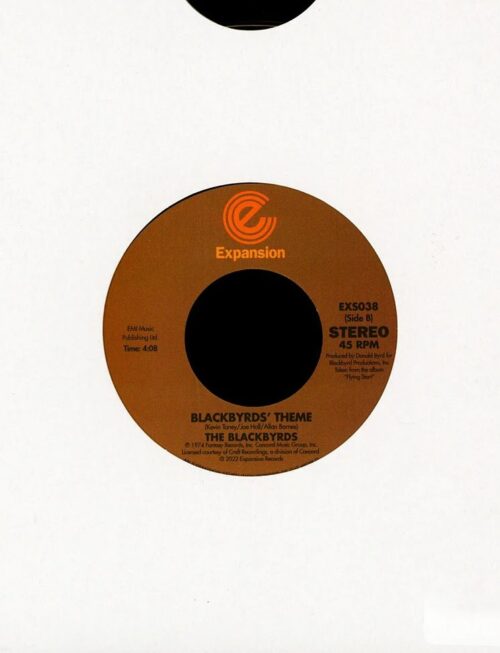 BLACKBYRDSTHE - REGGINS / BLACKBYRDS THEME Vinyl Record