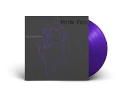 BARDO POND¬† - BIG LAUGHING JYM Vinyl Record