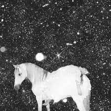 BLACK LIPS - APOCALYPSE LOVE (COLOURED VINYL) Vinyl Record