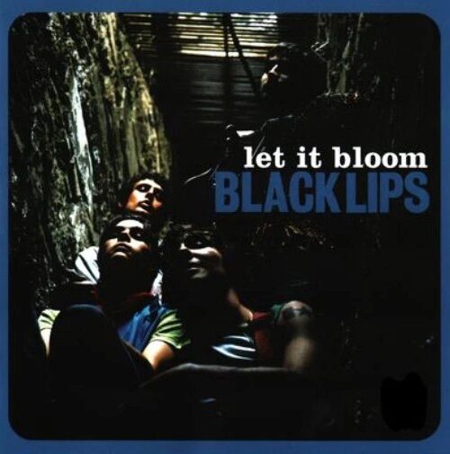 BLACK LIPS - LET IT BLOOM Vinyl Record