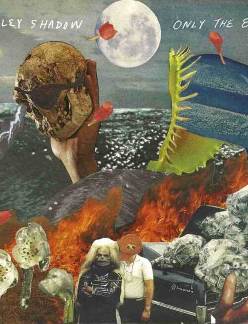 ASHLEY SHADOW - ONLY THE END Vinyl Record