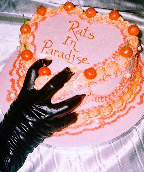 BREEZE EMILY - RATS IN PARADISE Vinyl Record