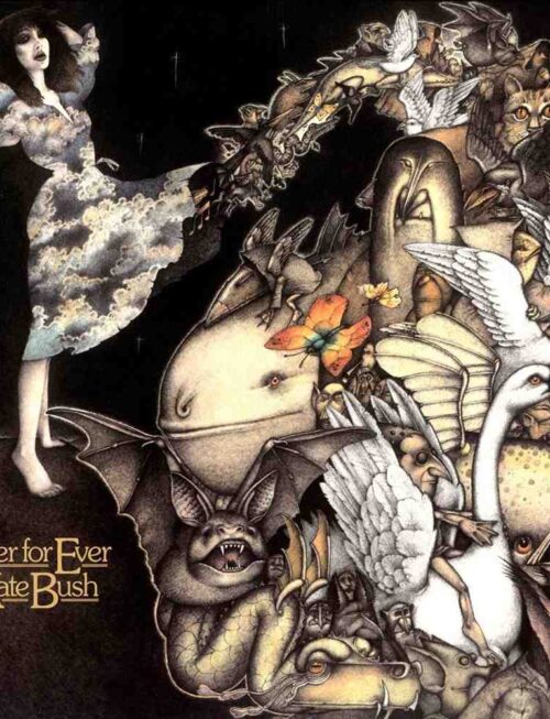 Kate Bush - Never For Ever (2018 Remaster) (1LP) BLACK Vinyl Record