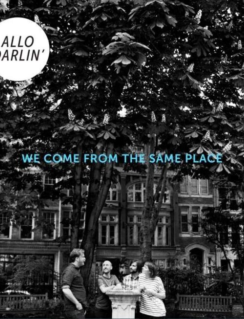 ALLO DARLIN - WE COME FROM THE SAME PLACE Vinyl Record