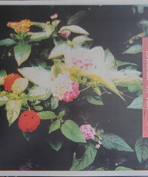 AMULETS - BLOOMING Vinyl Record