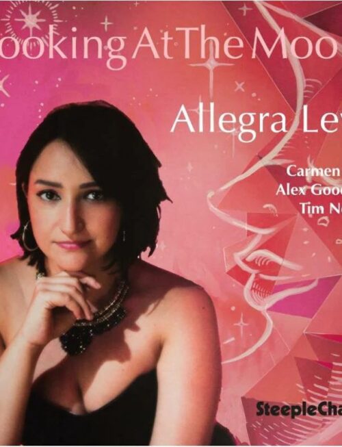 ALLEGRA LEVY - LOOKING AT THE MOON Vinyl Record