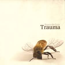 Banco de Gaia - Trauma Vinyl Record