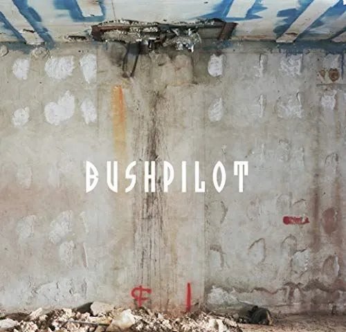 BUSHPILOT - ALREADY! Vinyl Record